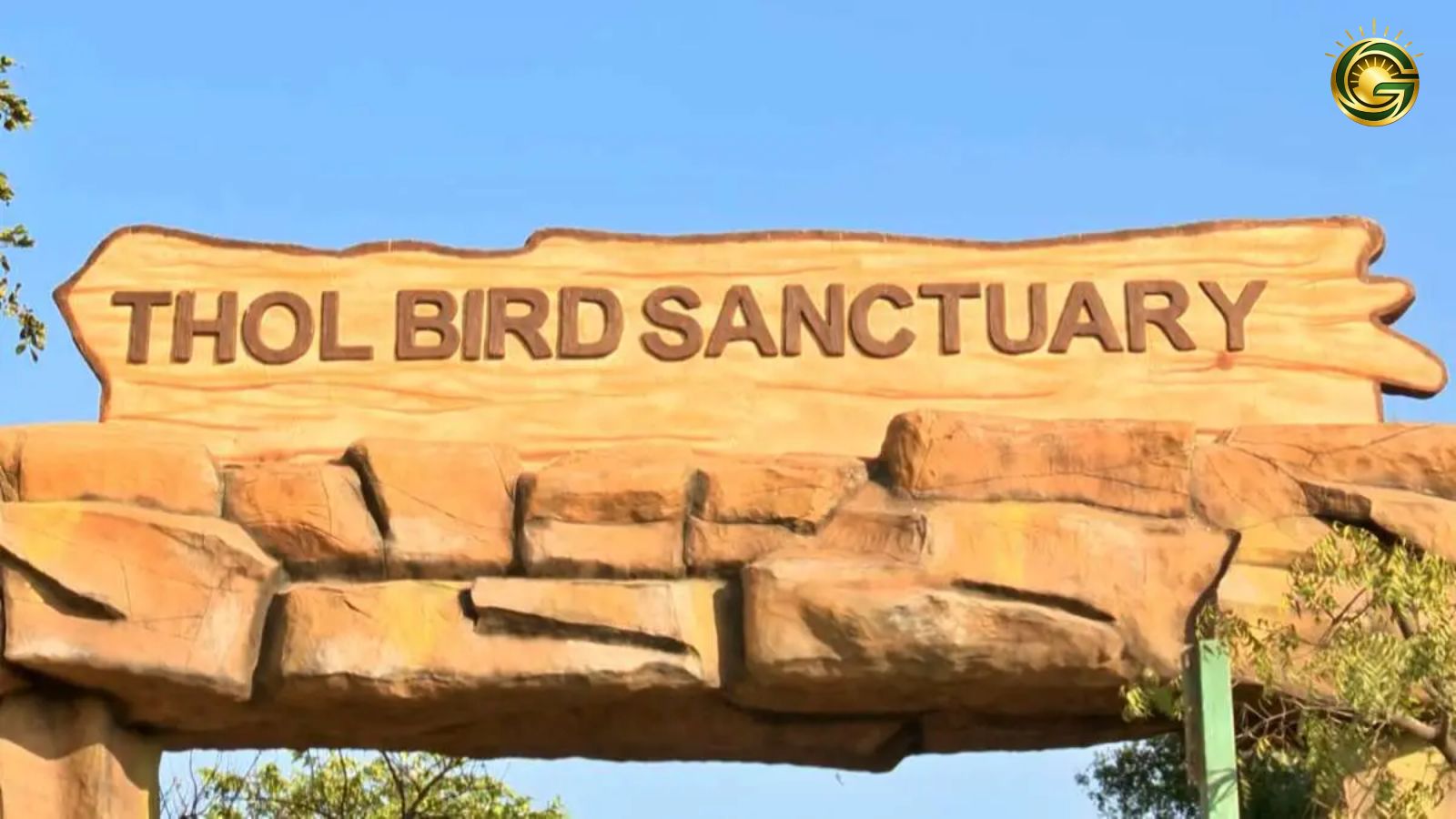 Ahmedabad Best 5 Picnic Place Thol Bird Sanctuary