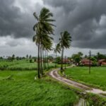 Dark monsoon clouds hovering over green fields in South Gujarat, predicting heavy rainfall.